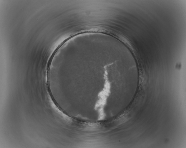 X0000114411095200911131422