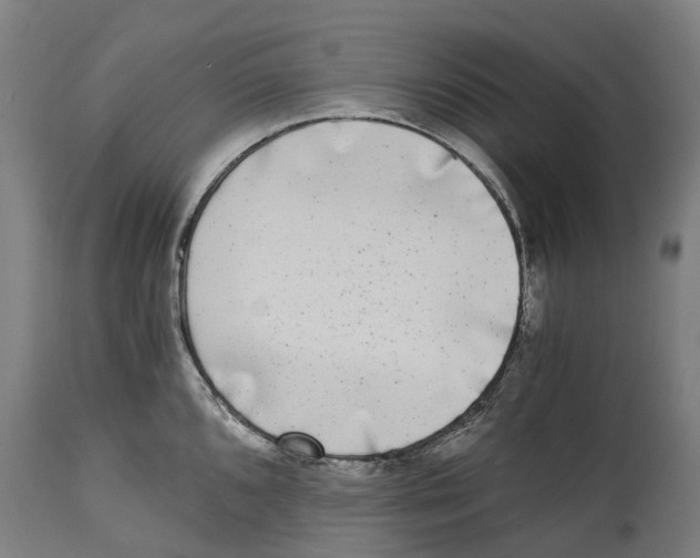 X0000114411096200911131422