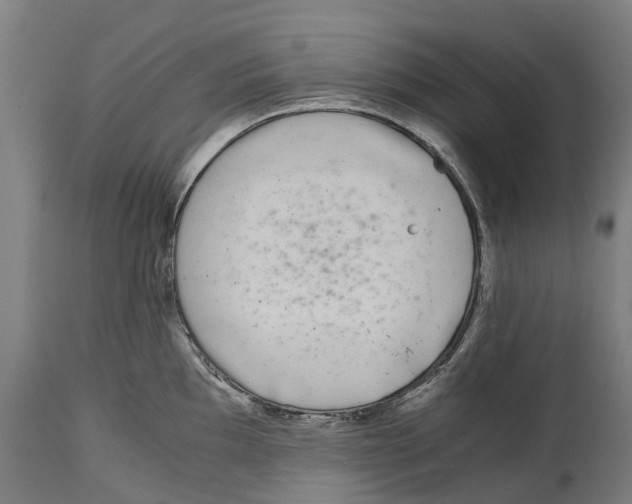 X0000114411097200911131422