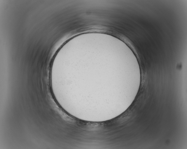 X0000114411099200911131422