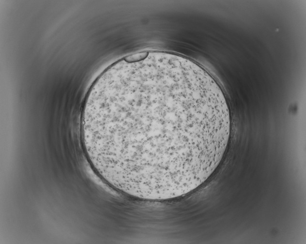 X0000114411100200911131422