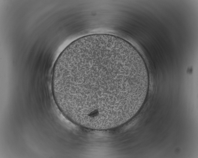 X0000114411102200911131422