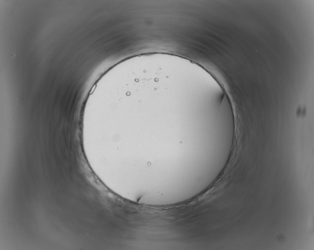 X0000114411104200911131422