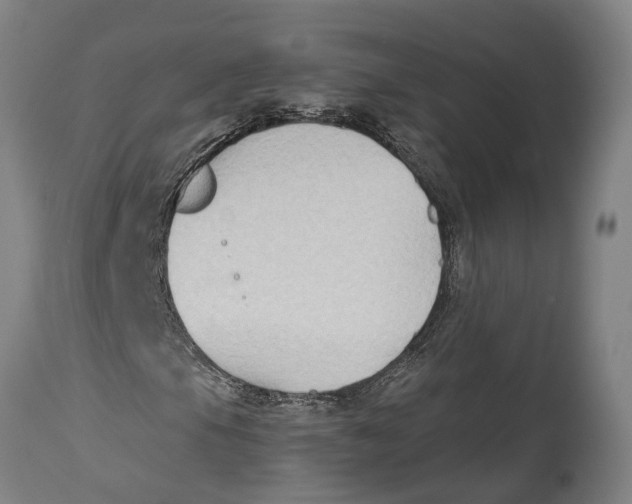 X0000114411105200911131422