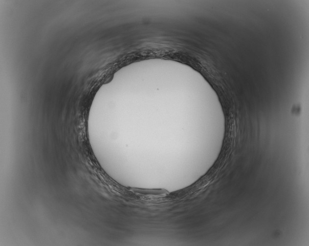 X0000114411109200911131422