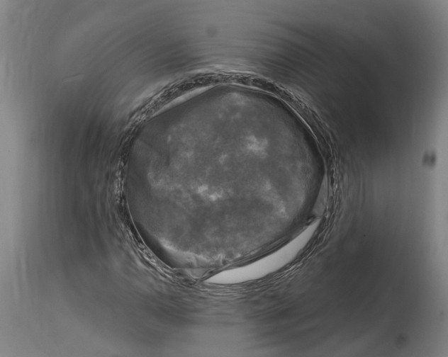 X0000114411110200911131422