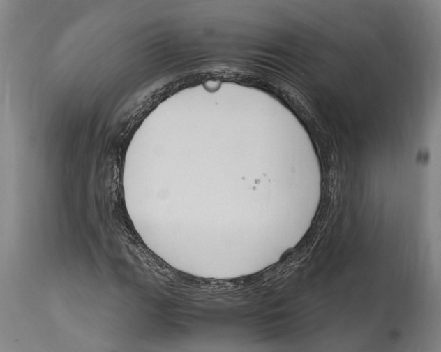 X0000114411111200911131422