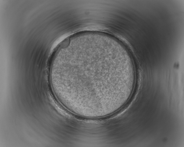 X0000114411114200911131422