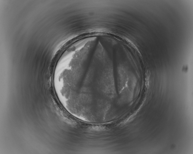 X0000114411117200911131422