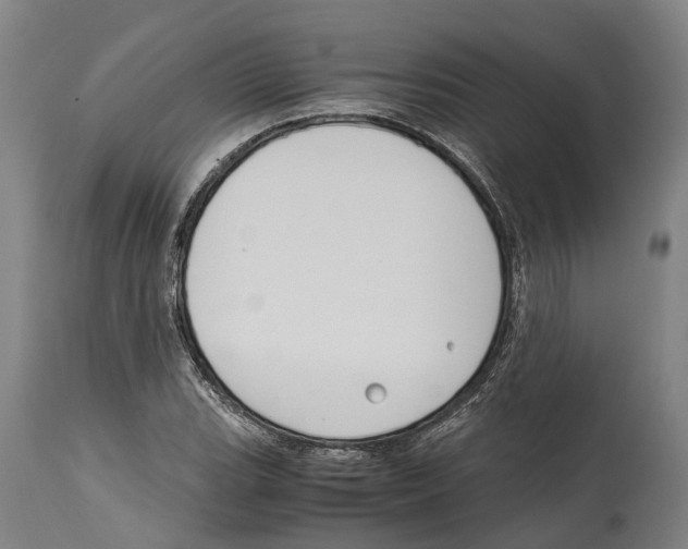 X0000114411119200911131422