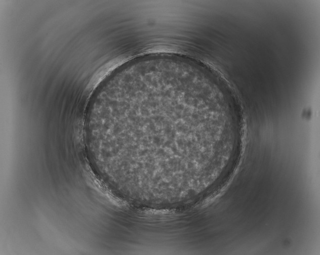 X0000114411121200911131422