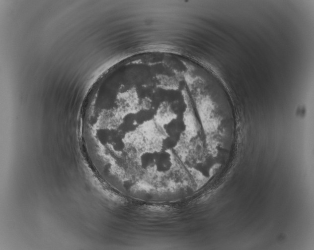 X0000114411125200911131422