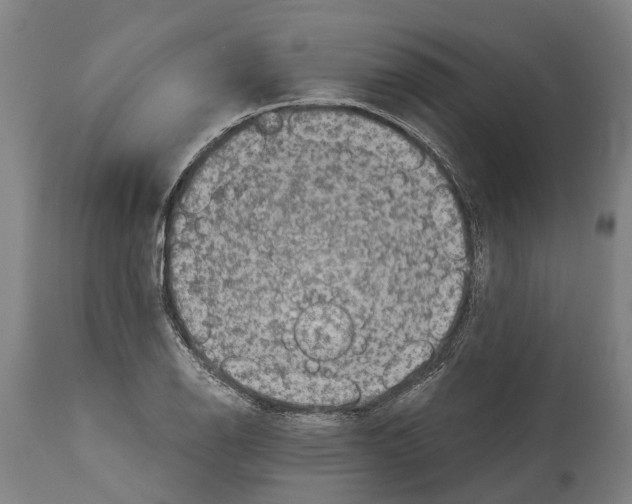 X0000114411126200911131422