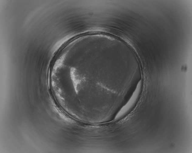 X0000114411127200911131422