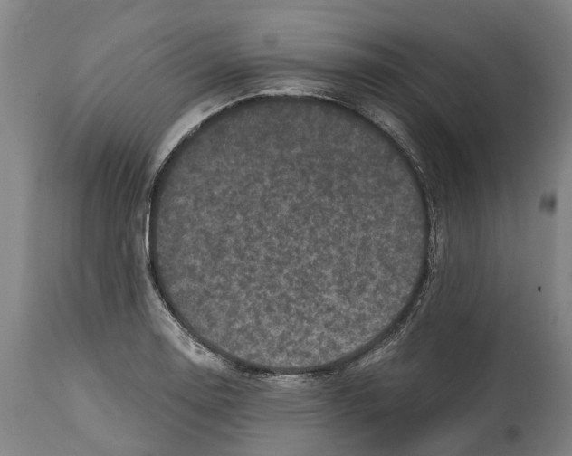 X0000114411130200911131422