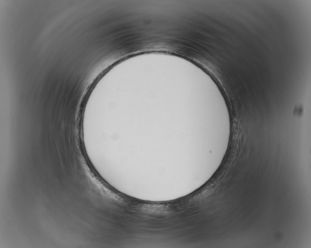 X0000114411135200911131422