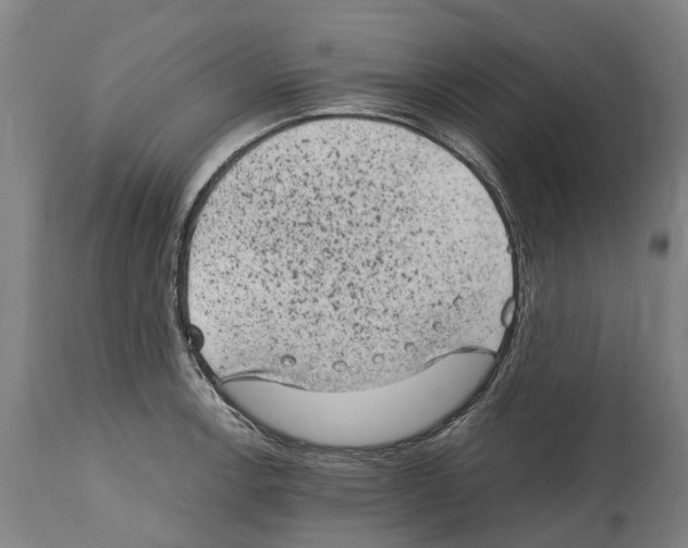 X0000114411138200911131422