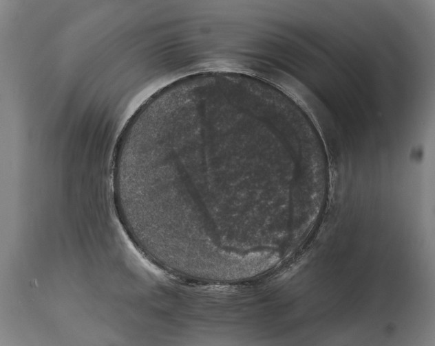 X0000114411141200911131422