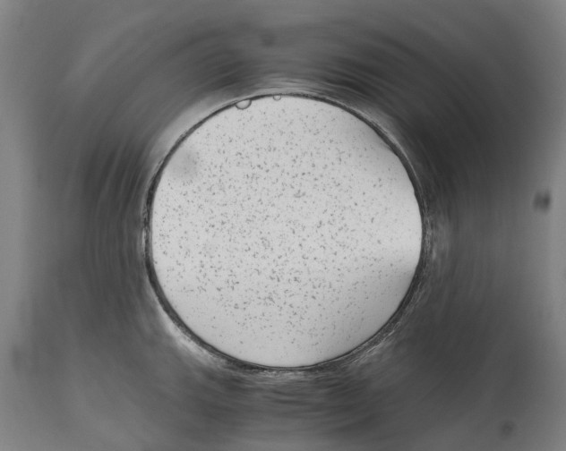 X0000114411143200911131422