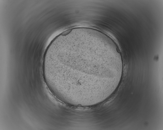 X0000114411146200911131422