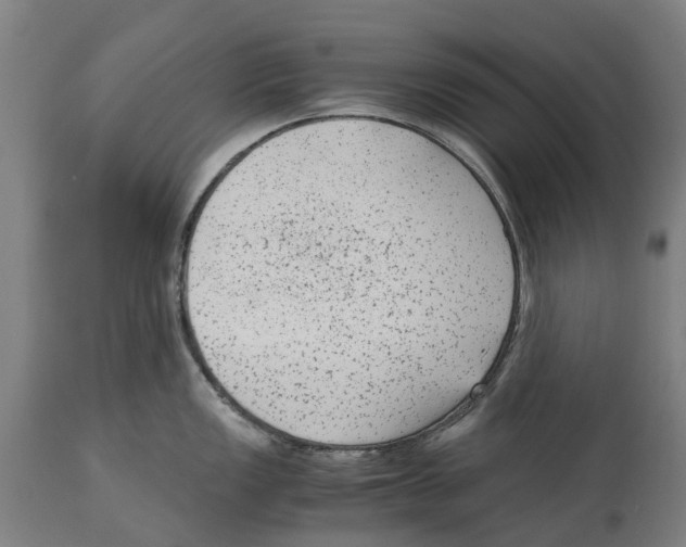 X0000114411149200911131422