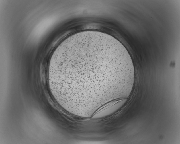 X0000114411151200911131422