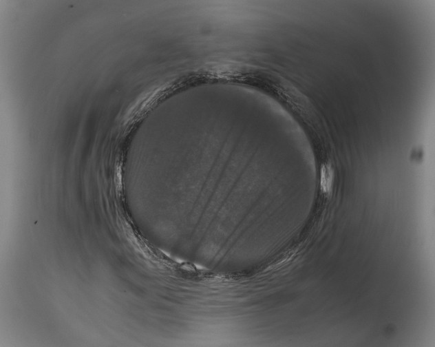 X0000114411155200911131422