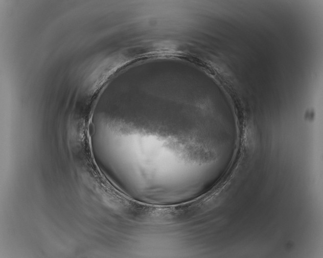 X0000114411161200911131421