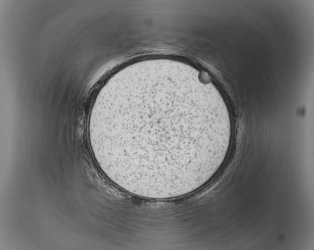 X0000114411163200911131421