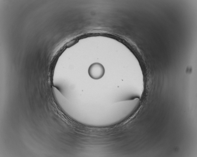 X0000114411167200911131421