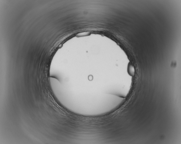 X0000114411169200911131421