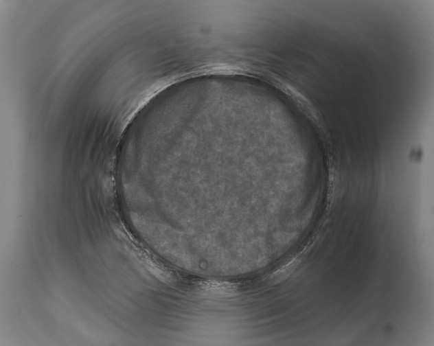 X0000114411170200911131421