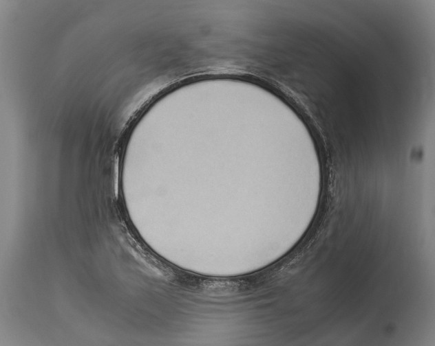 X0000114411171200911131421