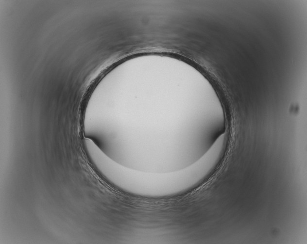 X0000114411173200911131421