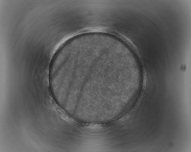 X0000114411174200911131421