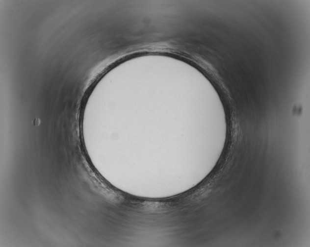 X0000114411176200911131421