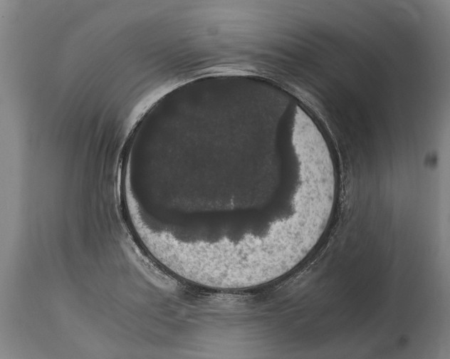 X0000114411179200911131421