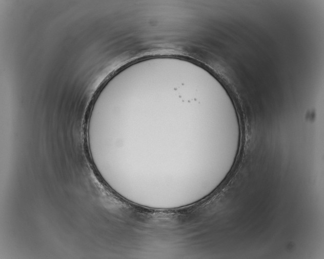 X0000114411181200911131421