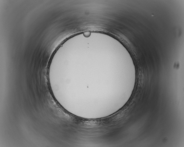 X0000114411182200911131421