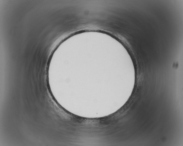 X0000114411183200911131421