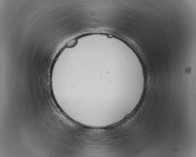 X0000114411184200911131421