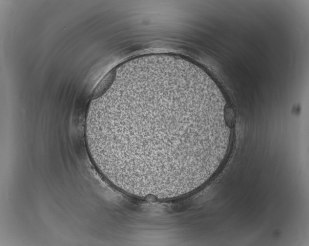 X0000114411185200911131421