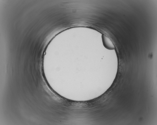 X0000114411187200911131421