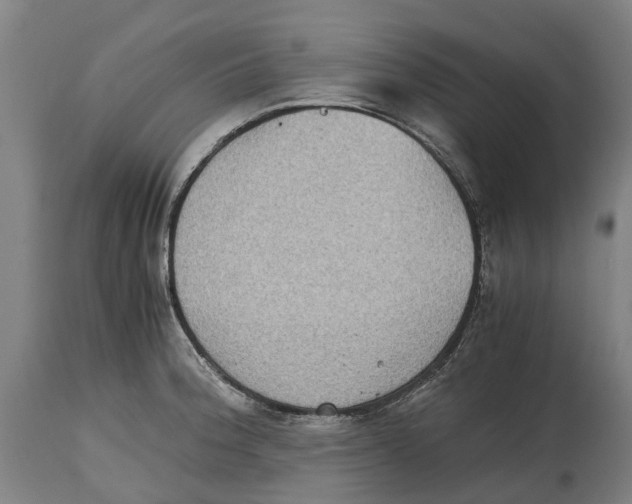 X0000114411188200911131421