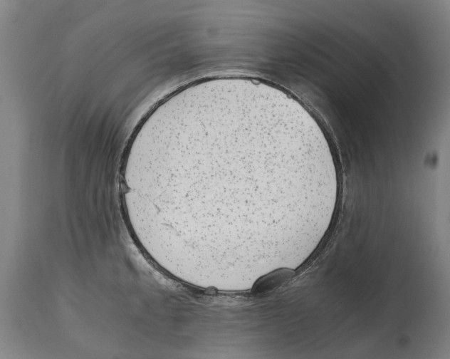 X0000114411189200911131421