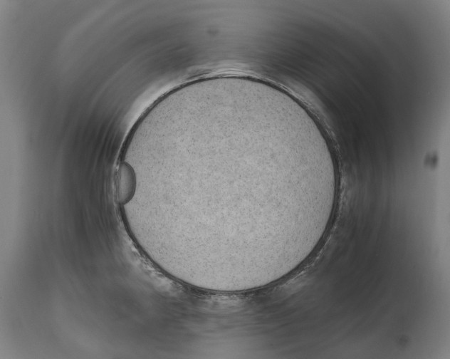 X0000114411190200911131421