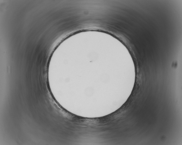 X0000114411191200911131421