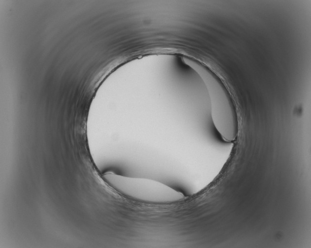 X0000114411193200911131421