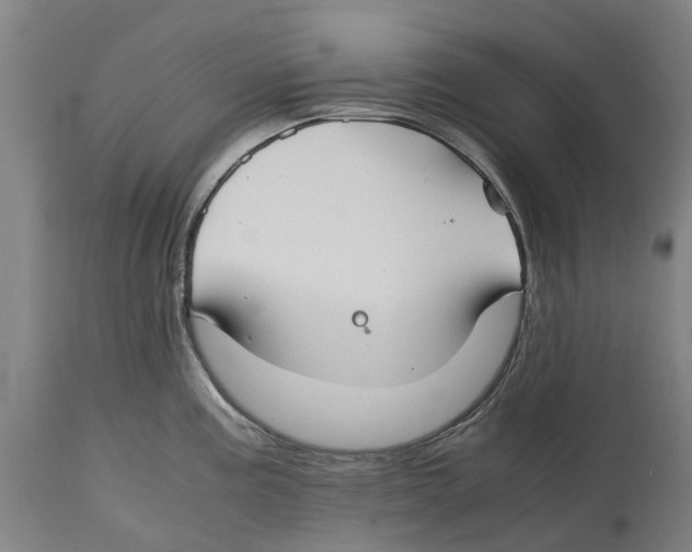 X0000114411195200911131421