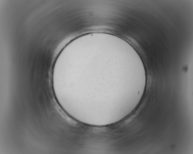 X0000114411196200911131421